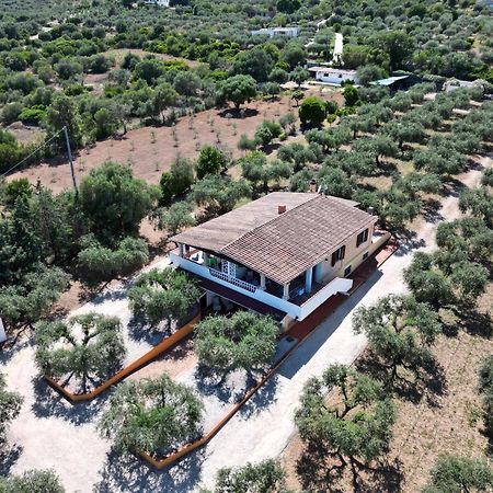 Apartamento Rustico Degli Ulivi Orosei Exterior foto