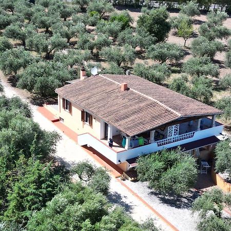 Apartamento Rustico Degli Ulivi Orosei Exterior foto