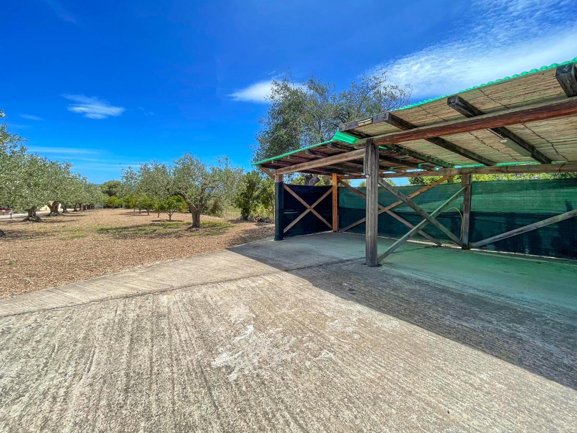 Apartamento Rustico Degli Ulivi Orosei Exterior foto