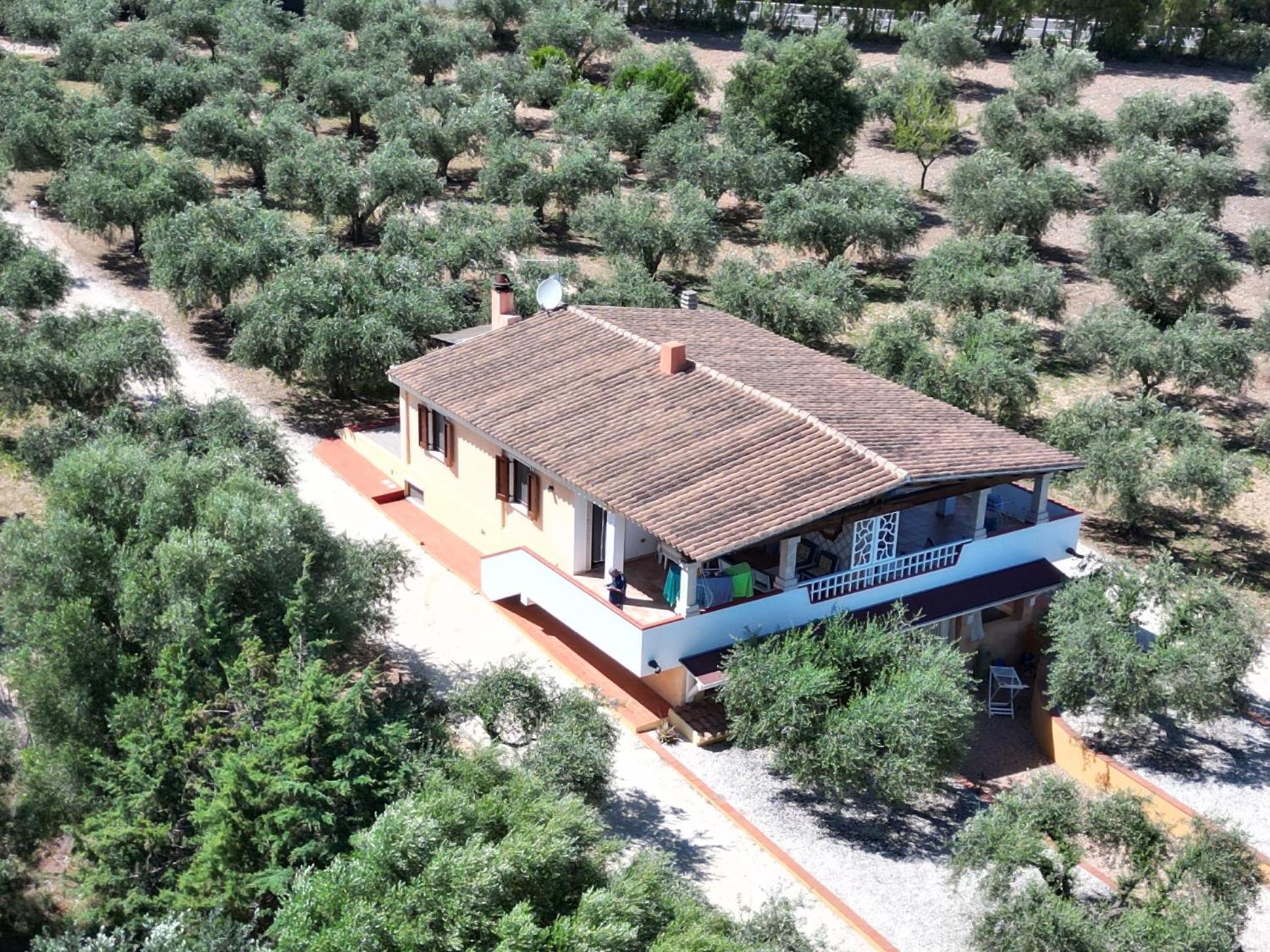 Apartamento Rustico Degli Ulivi Orosei Exterior foto